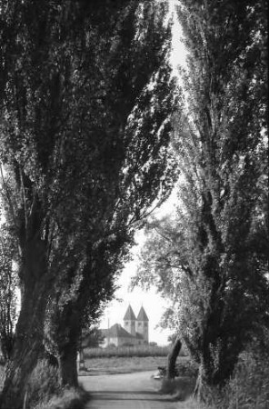 Unterzell: Pappelallee mit Blick auf die Kirche