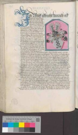 Wolf und Heinrich Eckbrecht von Dürckheim