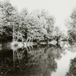 Spree am Elisabeth-Wolf-Ufer