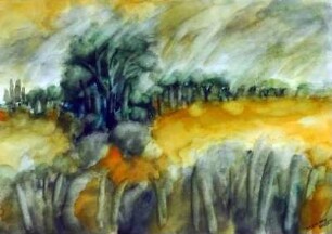 Landschaft auf Usedom