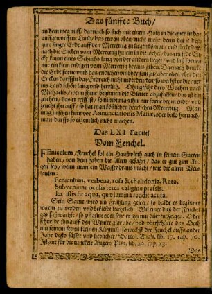 Das LXI Capitel. - Das LXX. Capitel.