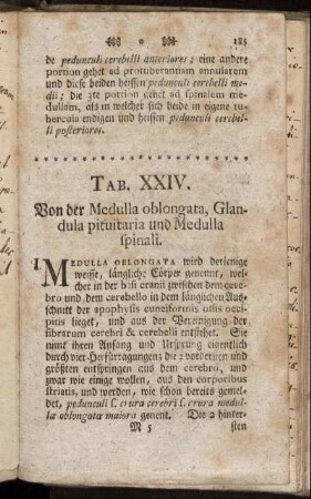 Tab. XXIV. Von der Medulla oblongata, Glandula pituitaria und Medulla spinali.