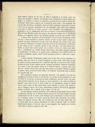 5. Sbocco delle appendice piloriche