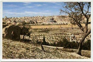 Jerusalem. View form the Mount of Olives. Vue prise du Mont des Oliviers. Gesamtansicht vom Ölberg