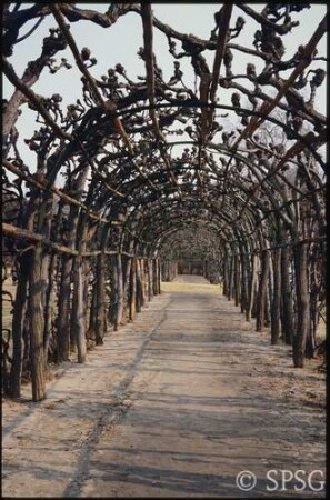 Potsdam, Park Sanssouci, Parterre Bildergalerie, Laubengang.