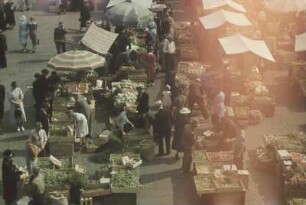 Reisefotos. Gemüsemarkt