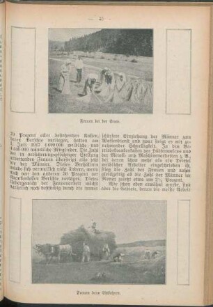Frauen bei der Ernte. Frauen beim Einfahren.