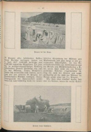 Frauen bei der Ernte. Frauen beim Einfahren.