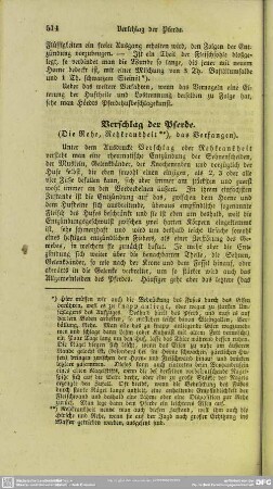 Verschlag der Pferde