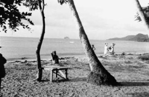 Reisefotos Karibik. Trinidad. Tisch an einem Baum am Strand
