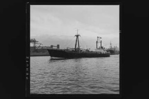 Perikles (1957), Neptun.- Dampfschifffahrts-Gesellschaft „Neptun“, Neptun Linie, D.G. "Neptun", Bremen