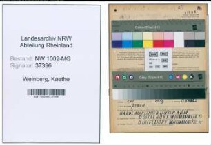 Entnazifizierung Kaethe Weinberg , geb. 19.12.1896 ()