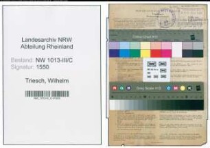 Entnazifizierung Wilhelm Triesch , geb. 01.02.1894 (Schneider)