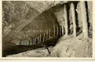 Wolfsschlucht in der Sächsischen Schweiz