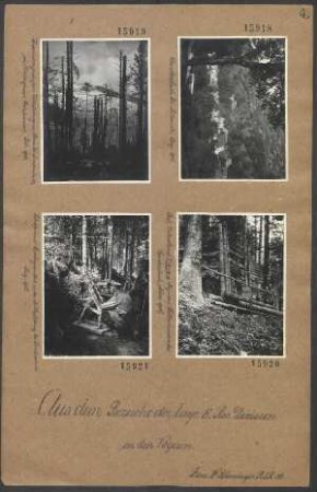 Schießen mit Gewehrgranaten in der Mättlestellung bei Landersbach