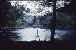 Lac de Fischboedle