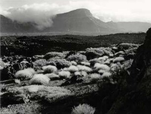 Die grandiose Landschaft des Nationalparks Las Canadas, Teneriffa