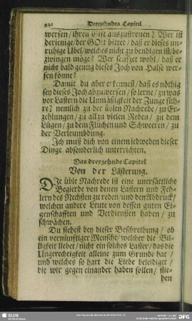 Das dreyzehnde Capitel Von der Lästerung
