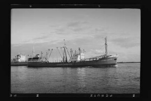 Catherine Sartori (1954), Frachtschiff, Sartori & Berger, Kiel, Bau-Nr. 570