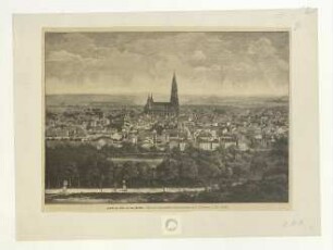 Ulm von Norden. 1895