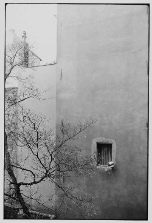 Fenster mit Vogelhaus in einem Hinterhof