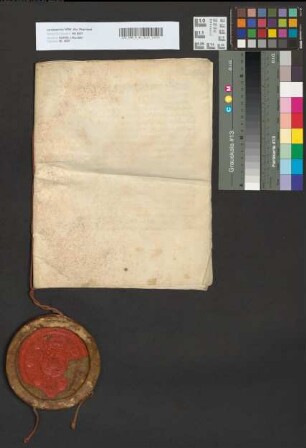 Wahlkapitulation Maximilians II. als römischer König.