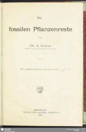 Die fossilen Pflanzenreste