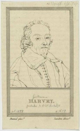 Bildnis des Harvey