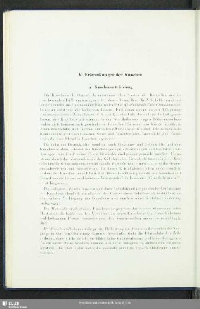 V. Erkrankungen der Knochen