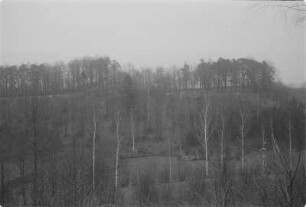 Coblenzer Schanze. Abschnittswall. : Kobličanske hrodźišćo