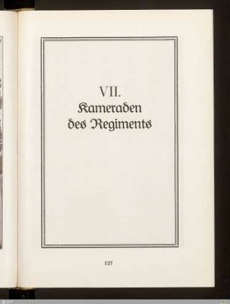 VII. Kameraden des Regiments