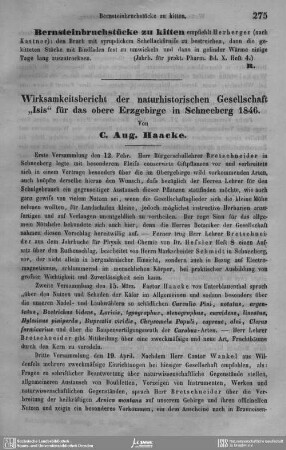 Bernsteinbruchstücke zu kitten.