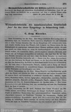 Bernsteinbruchstücke zu kitten.