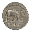 Denar des C. Iulius Caesar