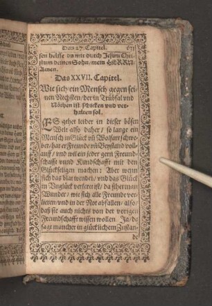 [Das XXVII. Capitel. - Das XXX. Capitel.]