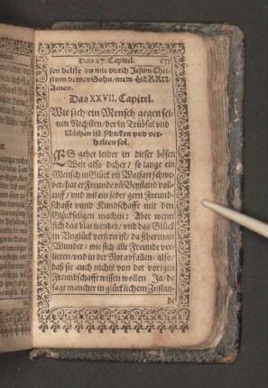 [Das XXVII. Capitel. - Das XXX. Capitel.]