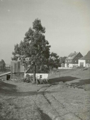Hof Nr. 53, Hof Arno Kadner