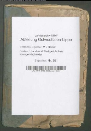 Bestellung und Verpflichtung der richterlichen Beamten.