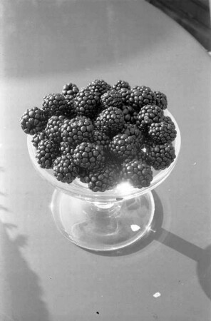 Brombeeren in der Reihe "Tips der Verbraucherberatung"
