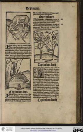Capitulum lxvi.