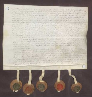 Instrumentum probationis des Franz Christoph von Hutten zum Stolzenberg.