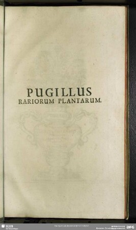 Pugillus Plantarum Rariorum cum Figuris aliquot aeneis & brevibus descriptionibus ...