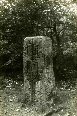 Otterberg, Schneckenhausen: Grenzstein um 1500, mit Otterberger Wappen. Jüns