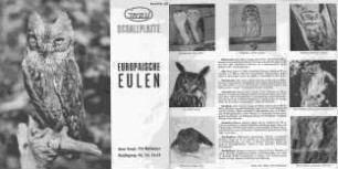 Europäische Eulen