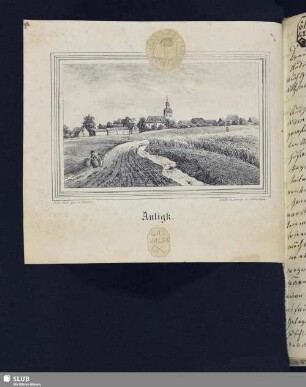 2. Auligk