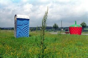 Dixi-Klo und Erdbeer-Verkaufsstand am Bielefelder Ausflugsziel Obersee