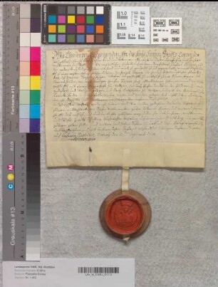 Theodor, Abt des Stifts Corvey, belehnt Joseph Tropen als Bevollmächtigten seines Vettern Dominici Tropen zu Mitbehuf seiner Söhne, ferner des Conrad Seiler und des verstorbenen Hansen Tropen Erben mit einem Meierhof zu Welsede (Weltzen), mit drei Hufen Land zu Amelgatzen (Amelgodessen) und Welsede und drei Kottstätten zu Welsede, nebst dem "Henninghäusler Bruch" gegen jährlich zwölf Schilling zu St. Viti.