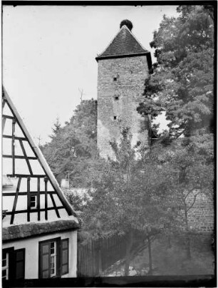 Stein Storchenturm Außenansicht