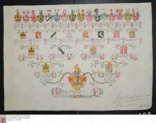 Ahnenprobe des Philipp Carl Friedrich Specht v. Bubenheim. - ausgefertigt 1750 September 12, Pergament