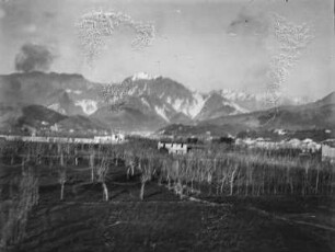 Bergpanorama : Blick auf eine Bergkette im Hintergrund, davor eine Pflanzung mit Bäumen